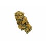 CBD_kvety_bubble_gum_palice.jpg