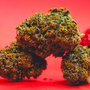 Cannabis_Light_Cbweed_Strawberry.jpg