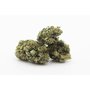 Cannabis_Light_Cbweed_white_widow.jpg