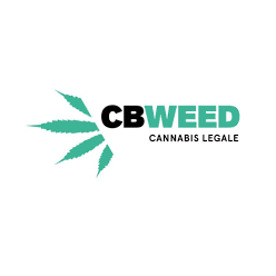 CBWEED SRL