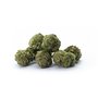 Cannio_cbd_kvety_BIG_BUD.jpg