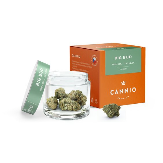 Cannio_cbd_kvety_big_bud_2.jpg