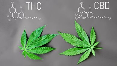 cbd_oleje.jpg