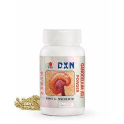 dxn_HF008_GL.jpg
