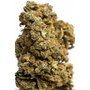 CBD_kvety_bubblegum_makro.jpeg