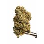 CBD_kvety_bubblegum_palice.jpeg