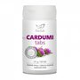 fin_cardumitabs_6428300094729.jpg