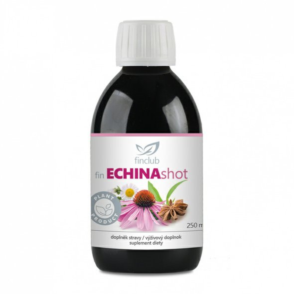 fin_echinashot_300938