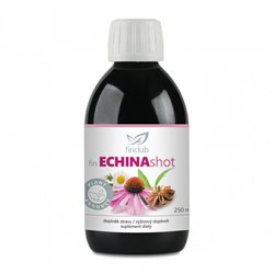 fin_echinashot_300938