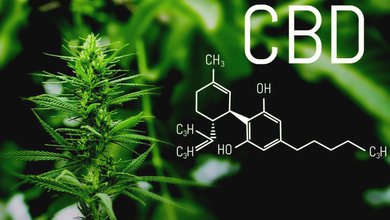 cbd.jpg