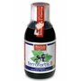 fin Ferrofortis B