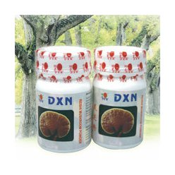 DXN Reishi Mushroom prášek 70 g
